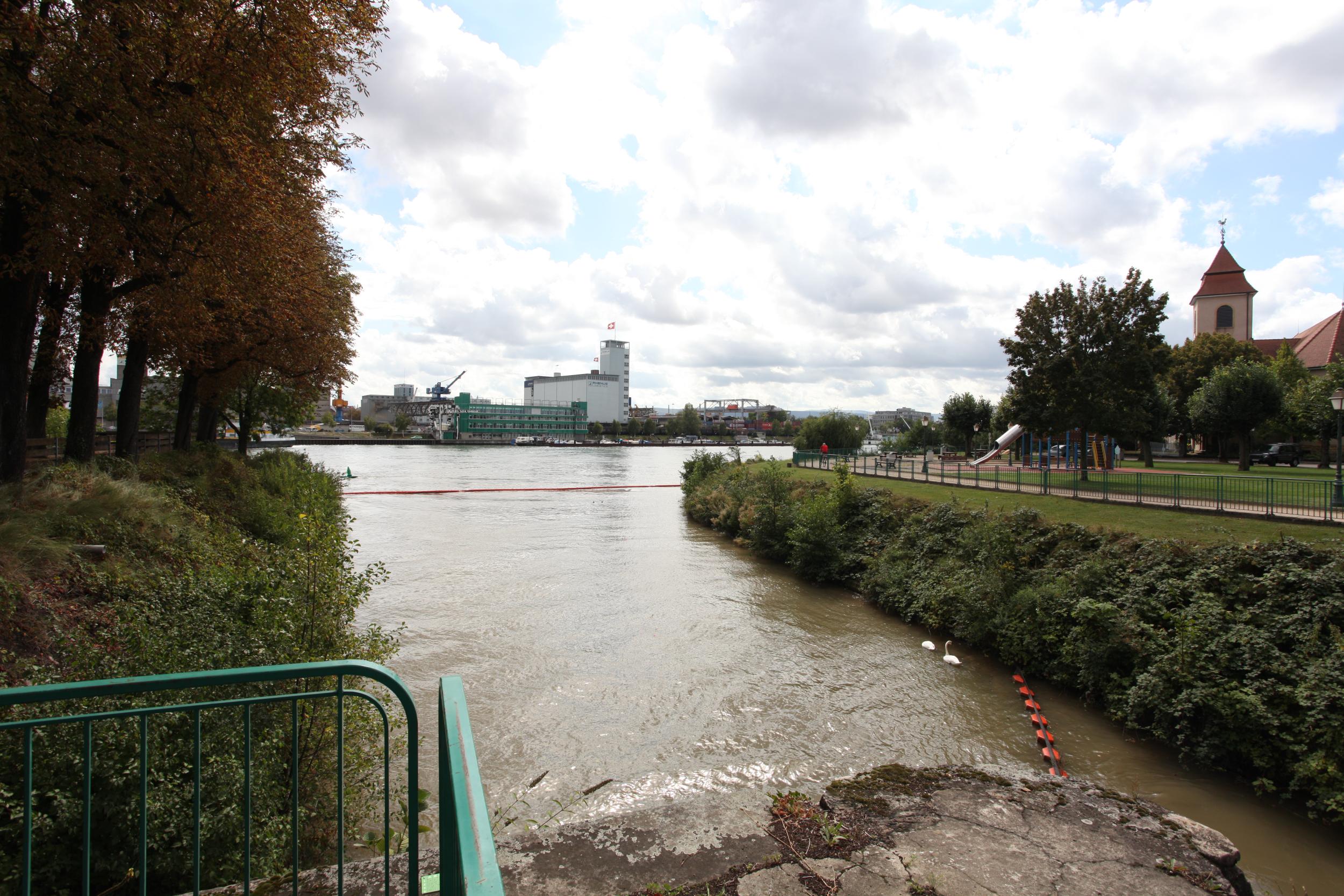 Rijn | Binnenvaart in Beeld